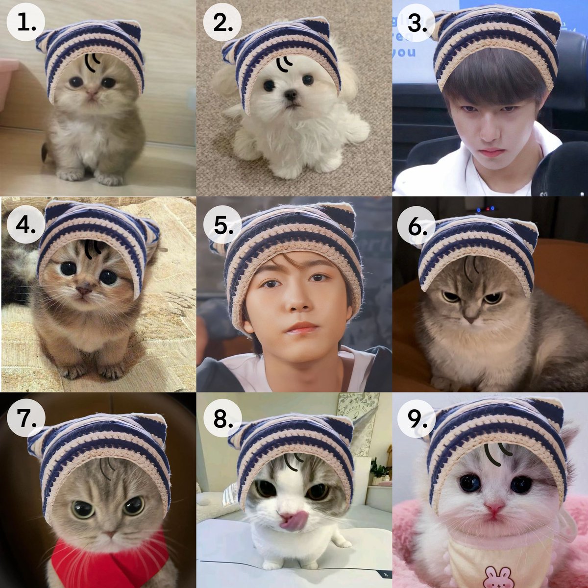 แล้วคัยคือหนูเหรินตุวจิง !