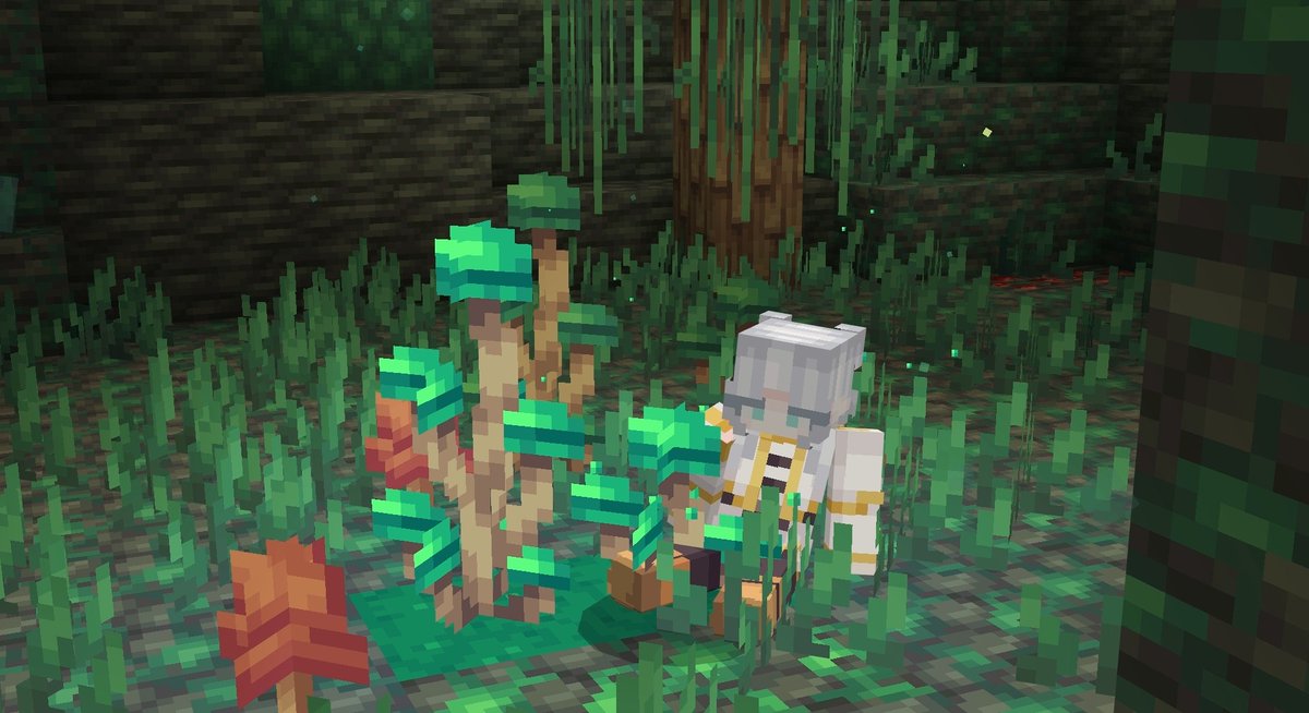 Ponteiiro tweet media