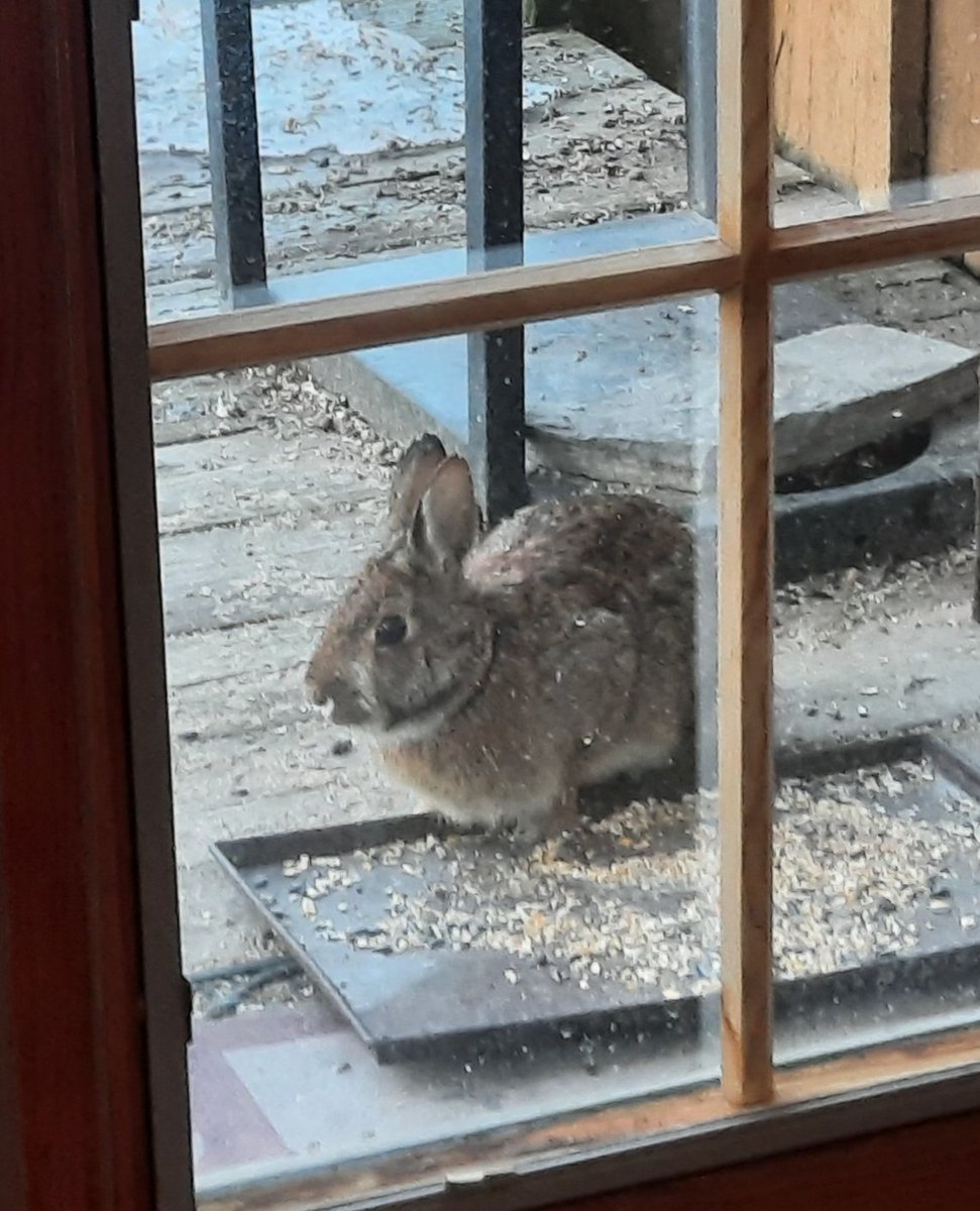 Terry Daynard tweet media