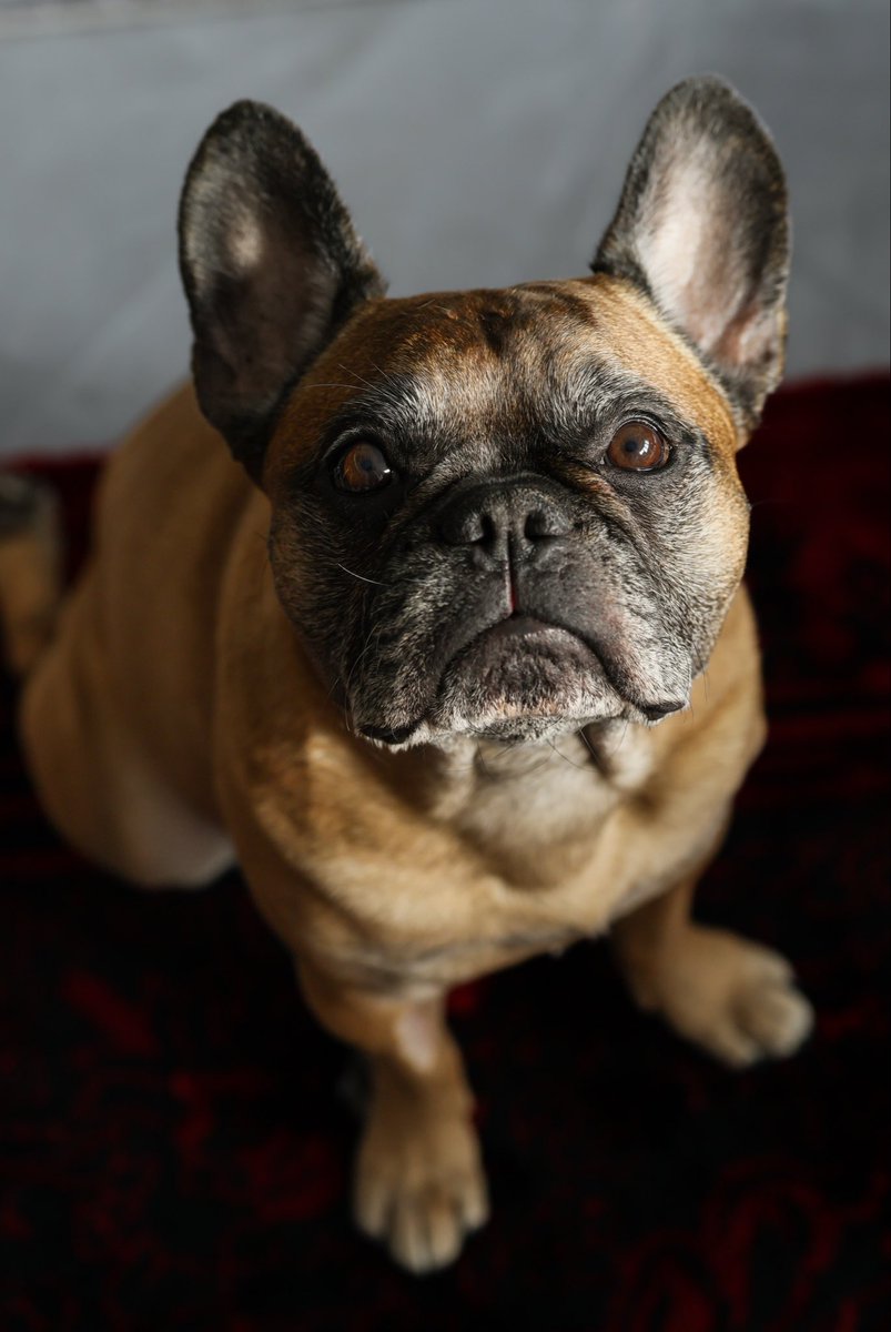 Pinot & Merlot tweet media