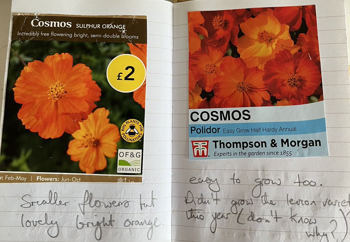 Greta Krendel Lyons tweet media