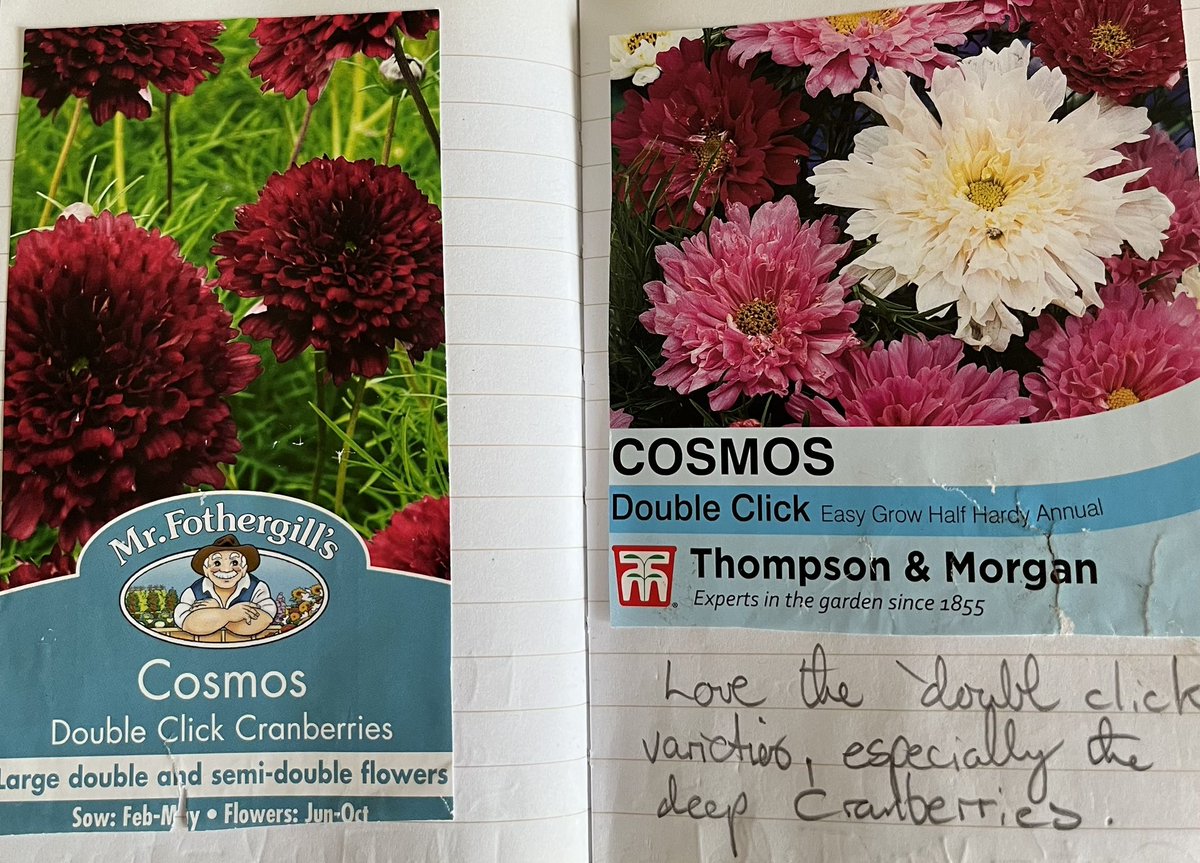 Greta Krendel Lyons tweet media