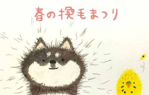 1日おきメモ（中原じゅん子） tweet media