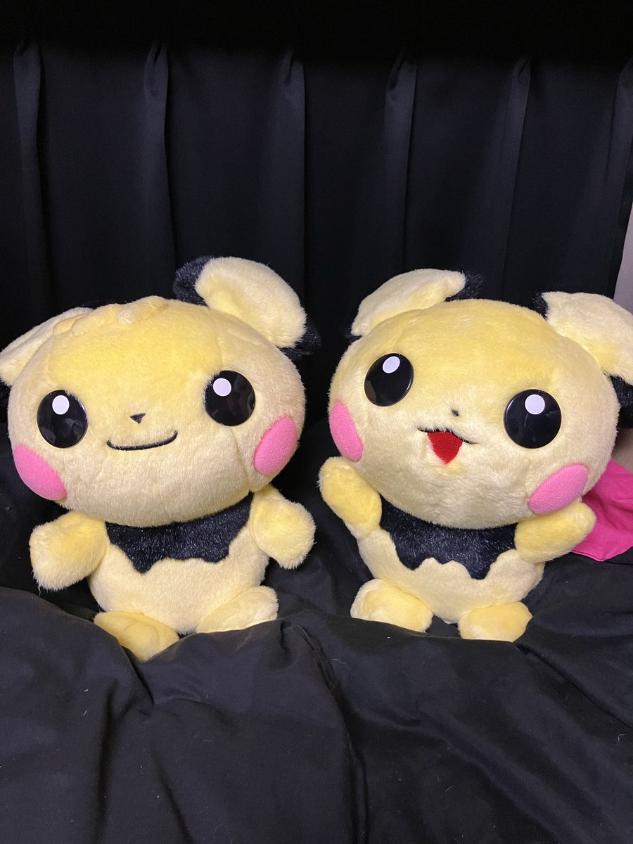 我が家の等身大ピチュー兄弟