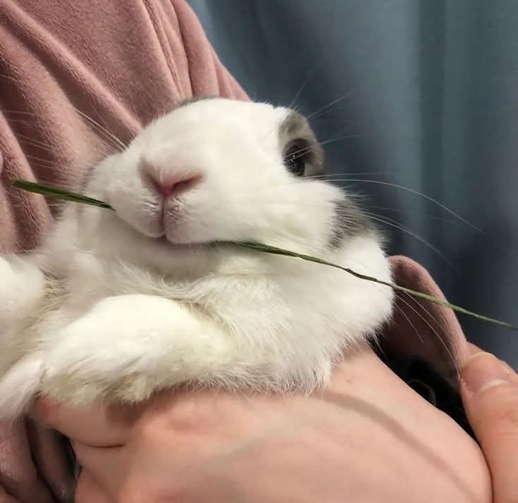 With the audience I've gained so far (thanks again), I'd like to know which Murder Drones character I should draw for this account?