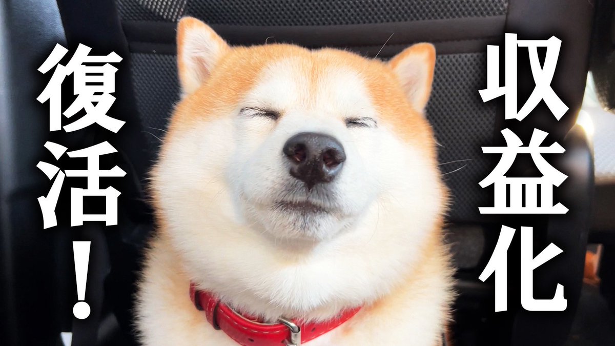 密着］柴犬らんまる24時 (@ranmarufrontier) / Posts / X