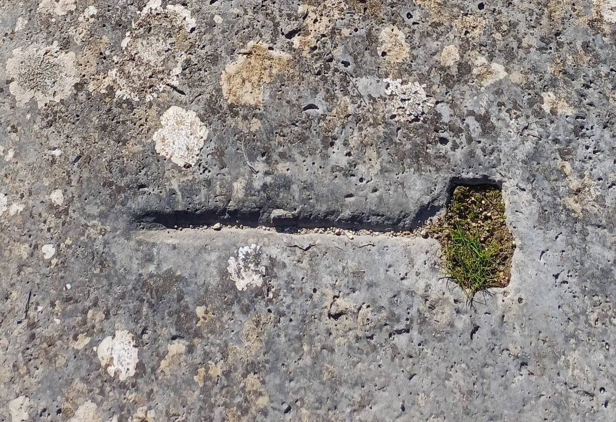 Jeffrey van der Lugt tweet media