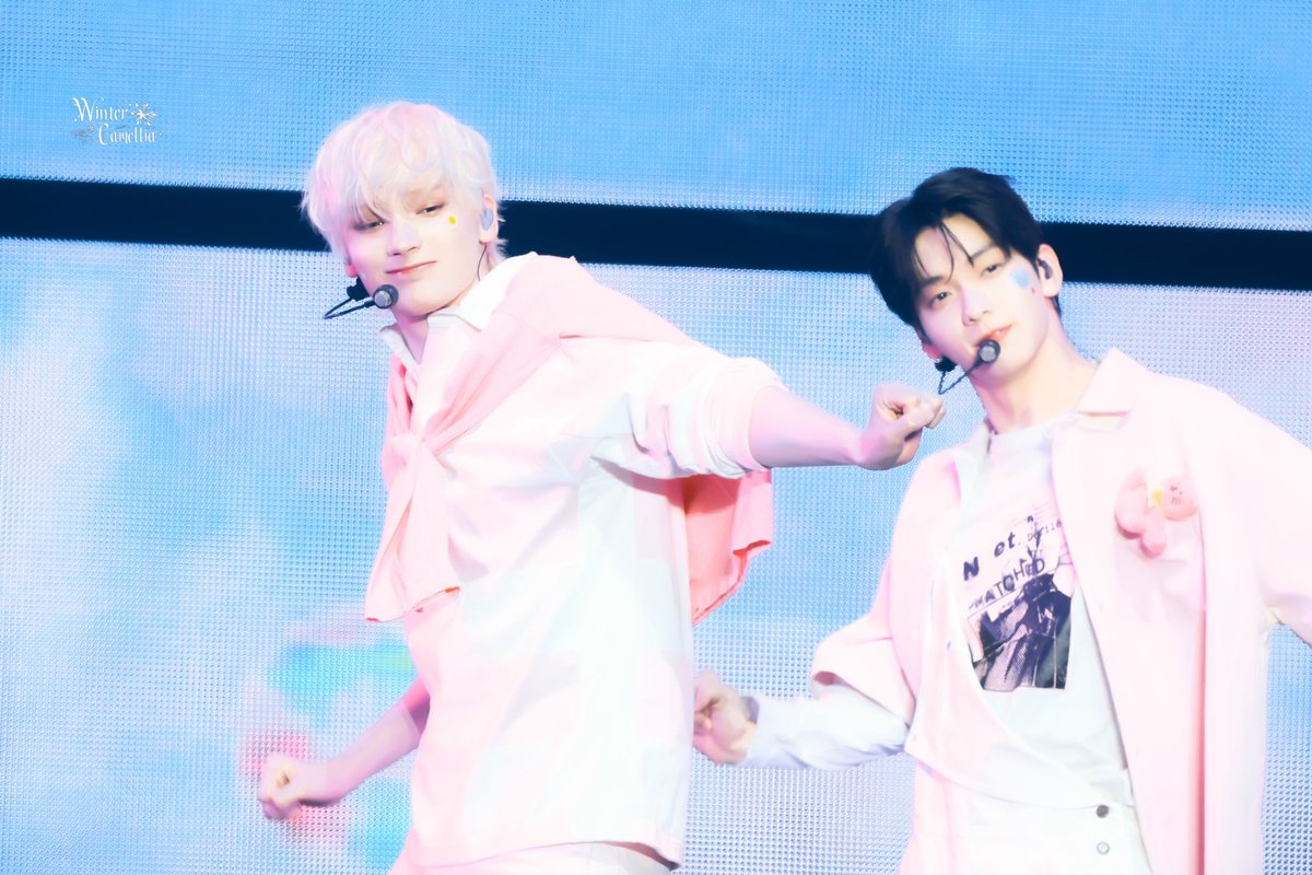 WinterCamellia tweet media