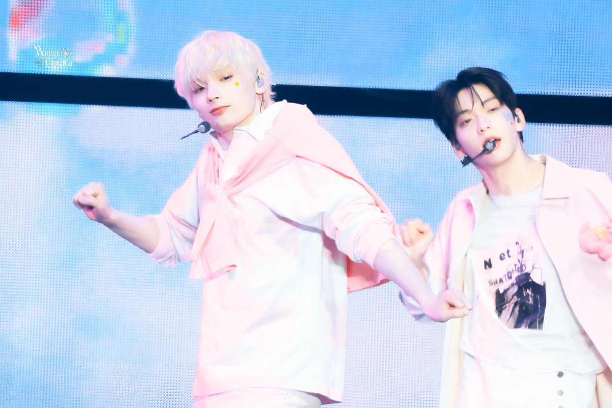 WinterCamellia tweet media