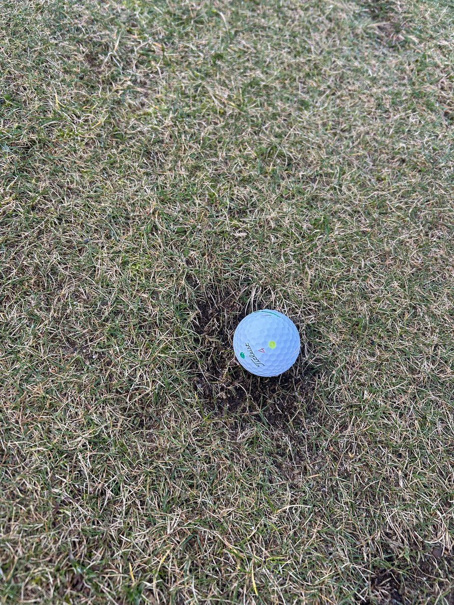 Jay Houston tweet media