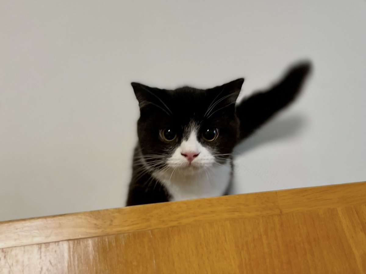 たろう (@taro20216) / Posts / X