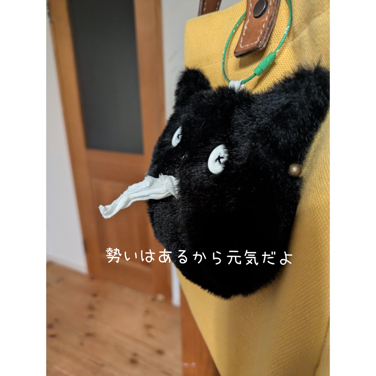 うちのケモたん🤣
#エクトプラズムティッシュケース
#猫　#cat