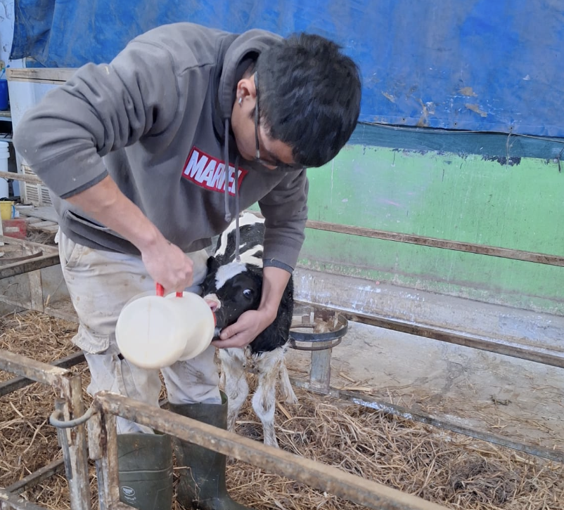 מאבק הרפתנים tweet media