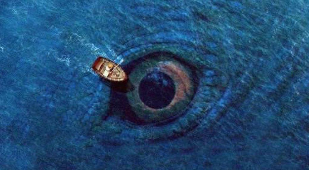 ゆきち@mgmg-panda🐼🐾 tweet media