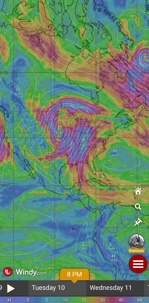 Timothy Ponepal tweet media