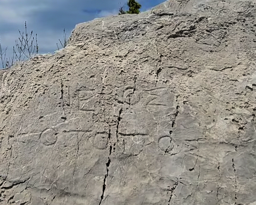 𝐓𝐡𝐞 𝐏𝐥𝐚𝐬𝐭𝐨𝐥𝐢𝐭𝐡𝐢𝐜 𝐏𝐚𝐬𝐭 tweet media