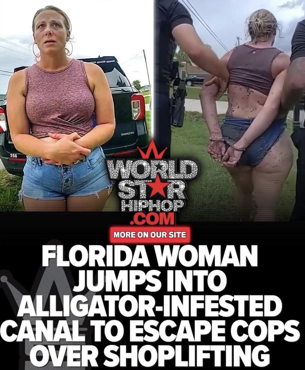 Florida Man 🐊 tweet media
