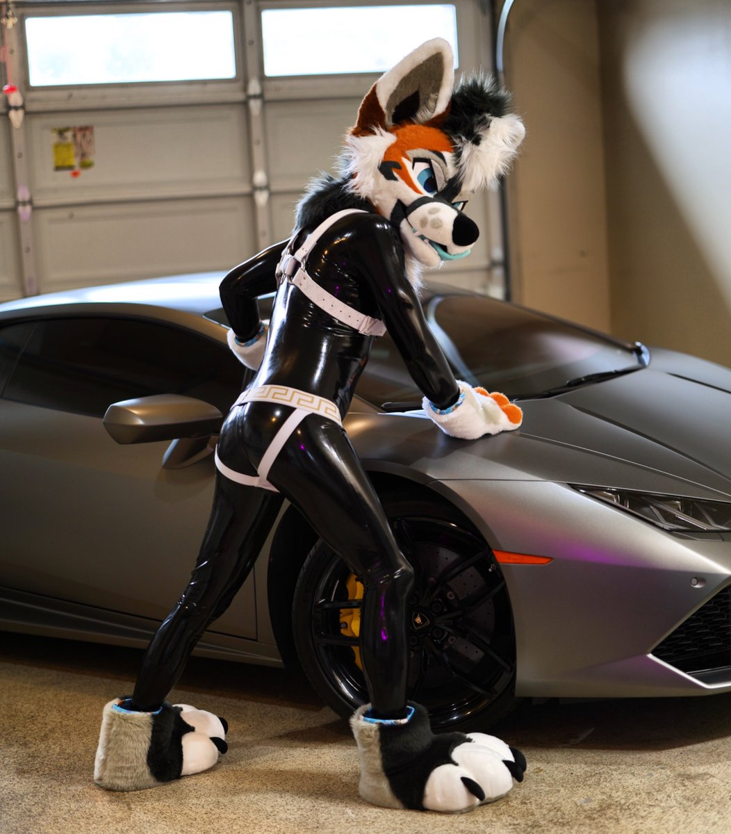 CovexWaff 🔜 LVFC, FWA, Megaplex tweet media