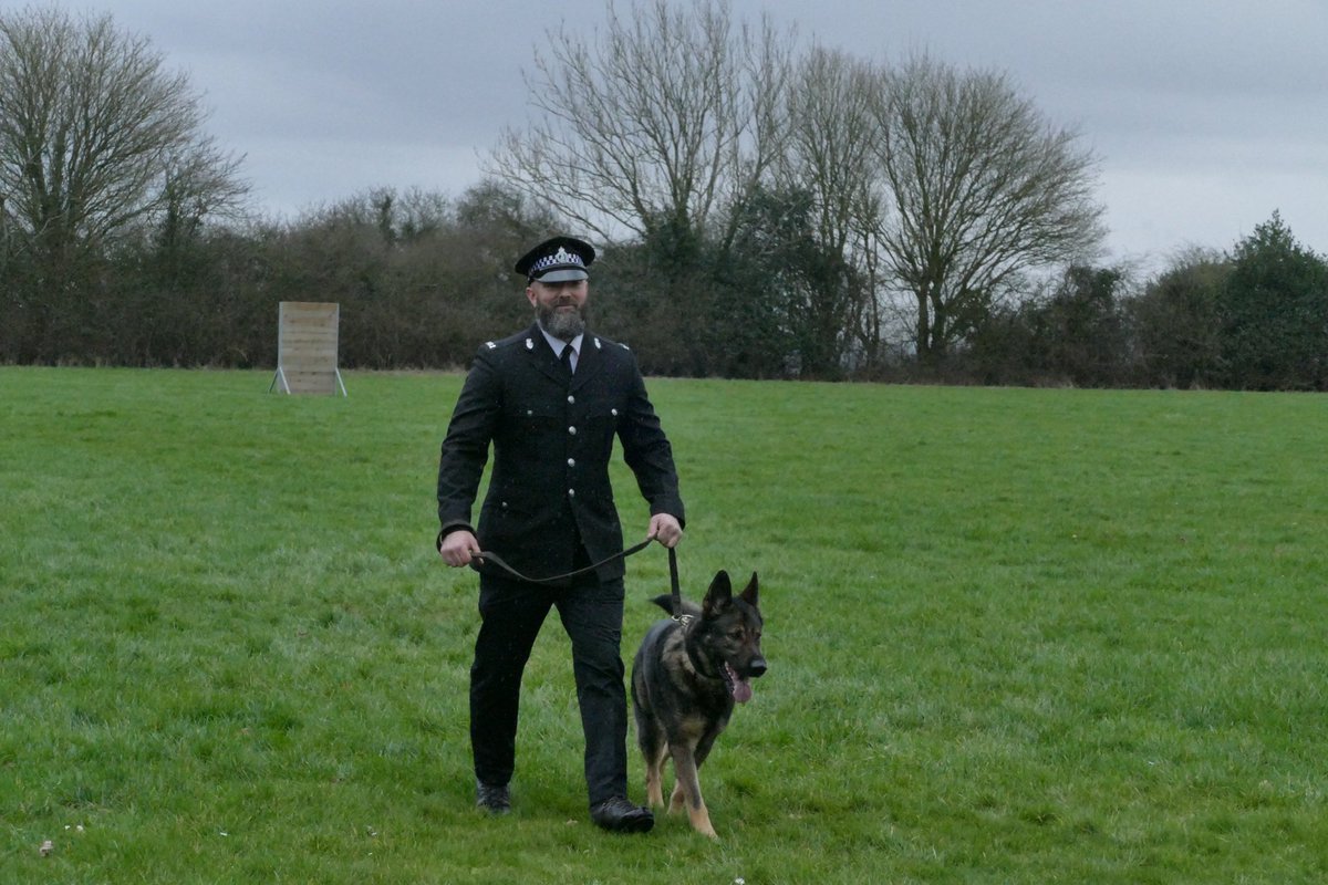 DC_Police Dogs ( Puppy Development Program) tweet media