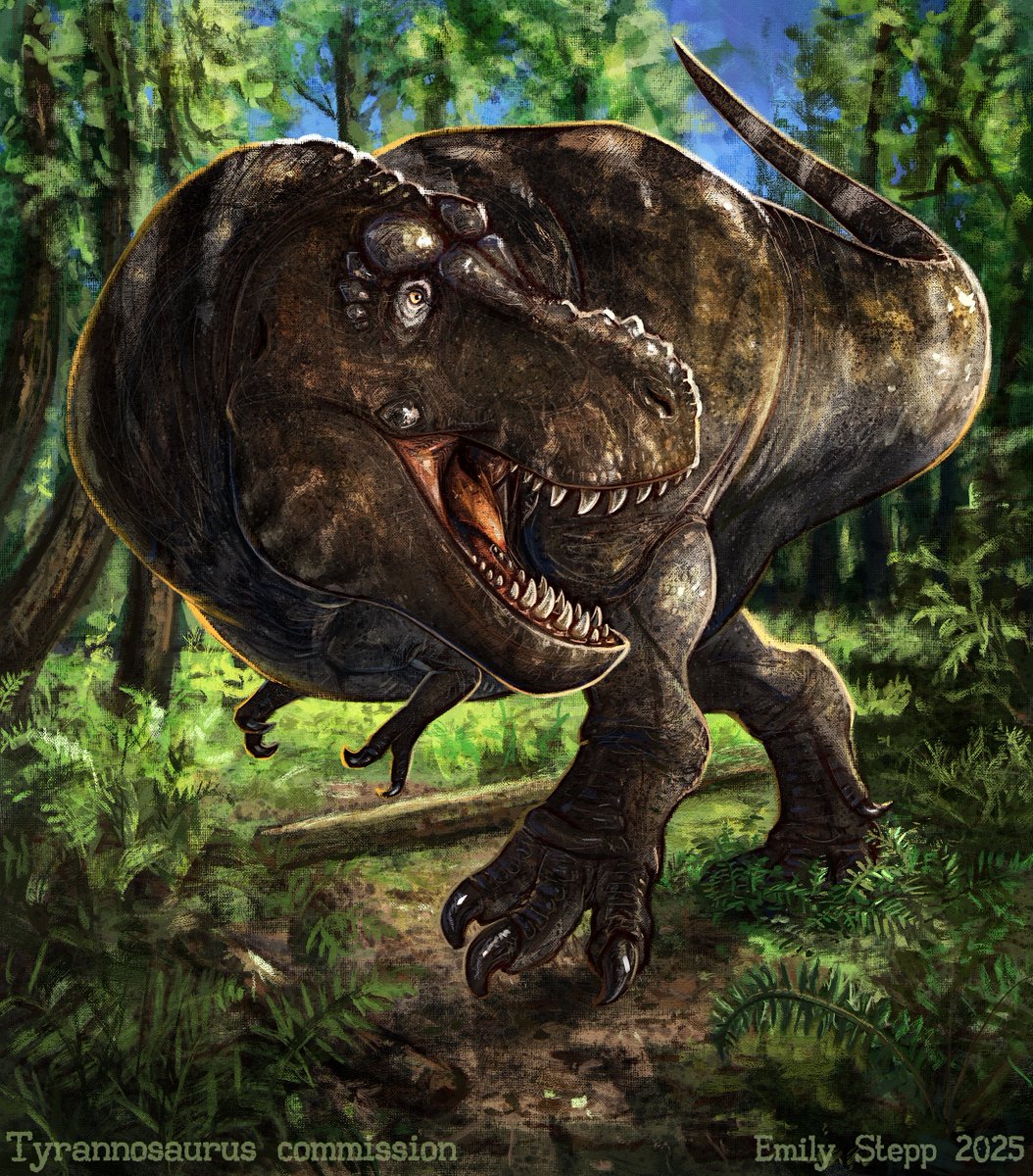 Emily_Art's tweet photo. I made these two pieces nearly line up. T. rex and Triceratops for James Stryker's paleoart project. https://t.co/j3sO5WEZJp