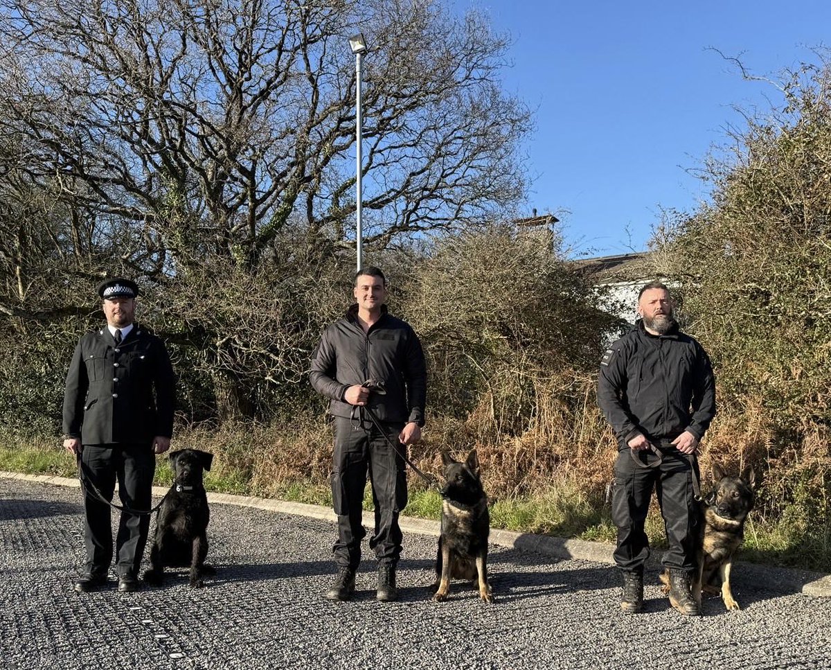 DC_Police Dogs ( Puppy Development Program) tweet media