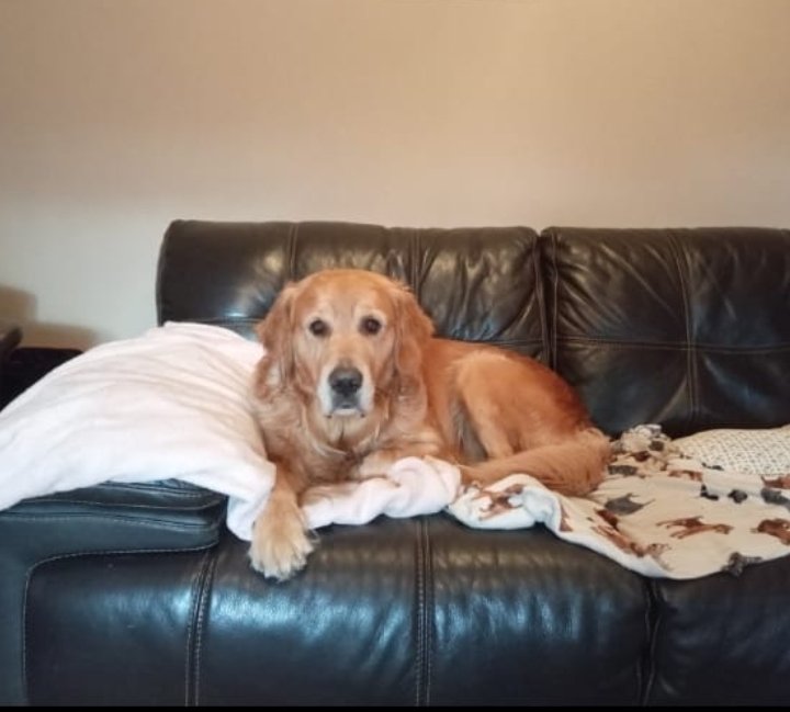 Carlos Shires (@carlosshires) on Twitter photo 