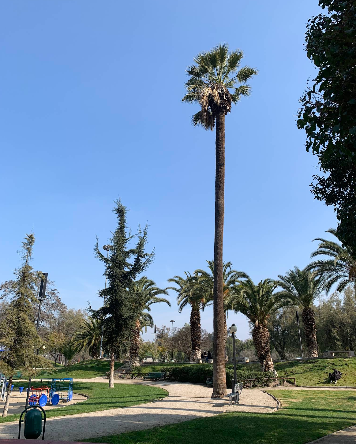 Revisionista tweet media