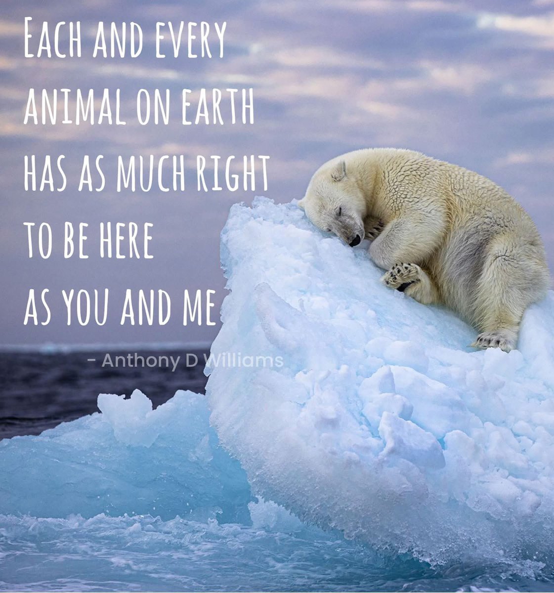 dominic dyer tweet media