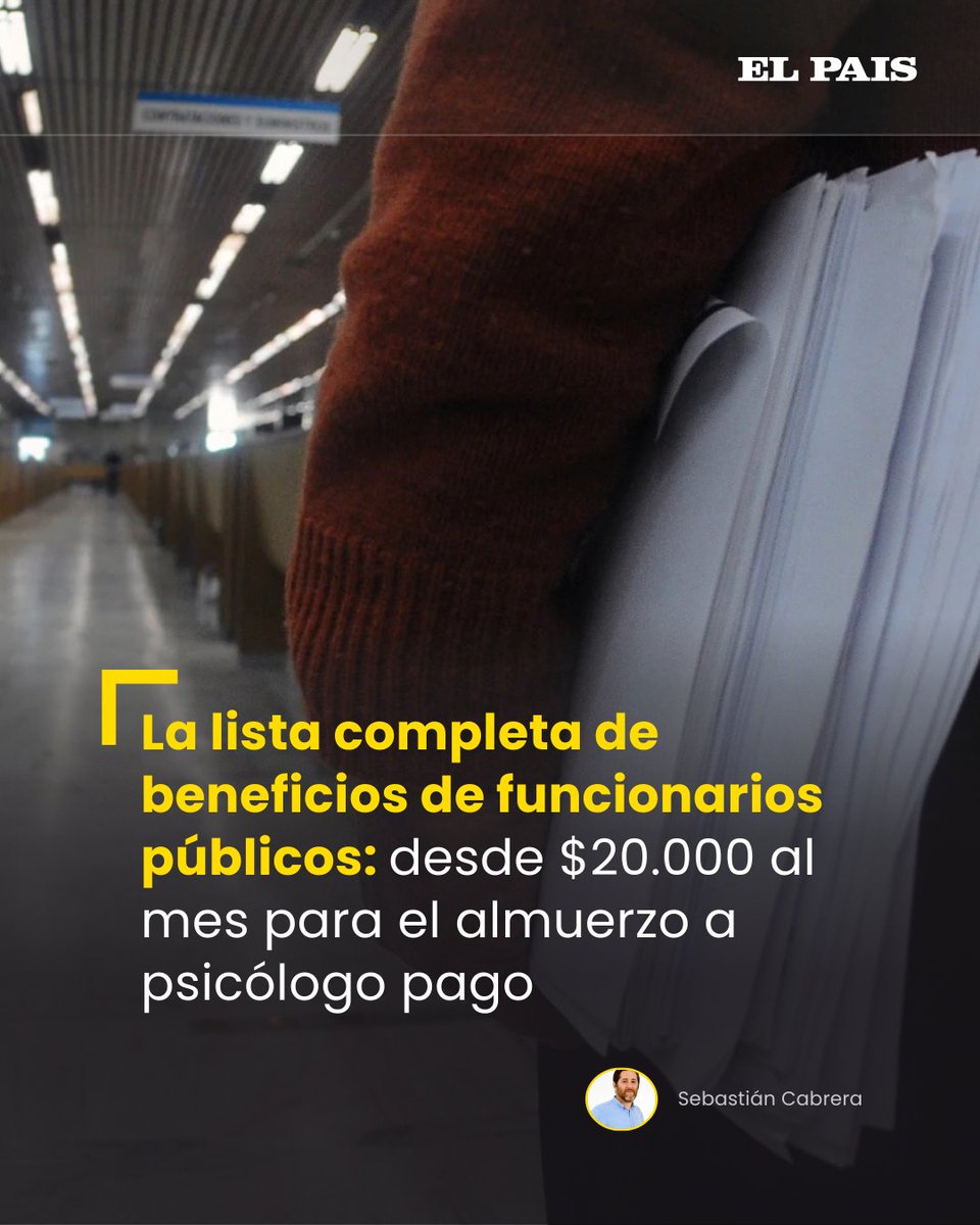 Uno a uno, el millonario inventario de todos los beneficios en el Estado. El País hizo un relevamiento en 38 organismos: prestaciones por alimentación, salud, nacimientos y hasta exoneraciones de patente y contribución inmobiliaria.
elpais.uy/xdbo7lxb