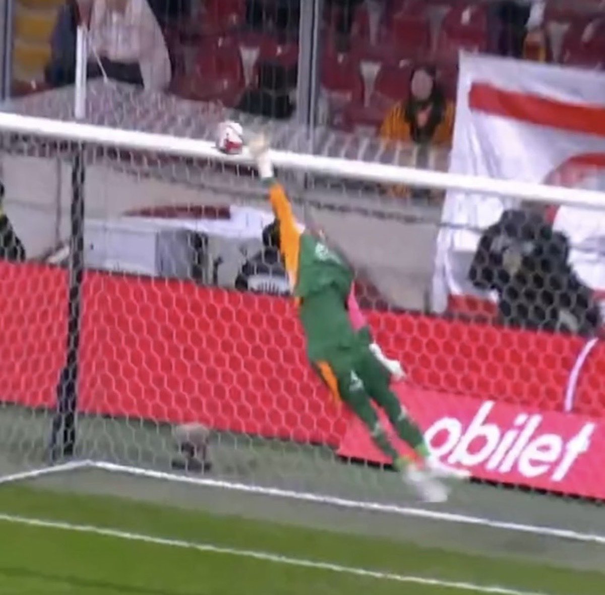 𝒜𝓊𝓇𝑒𝓃𝒶⋆.˚🦢⋆ tweet media