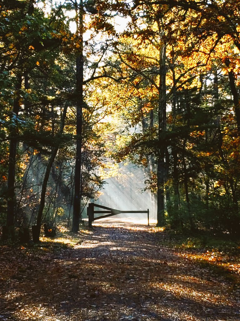 AcyRunway13's tweet image. I couldn't
 Find my way
Around your shadow

We wrote
 Heartfelt directions
Till whispers
 Faded from pages

Love was a quest
 On a hidden map
Where I didn't know
 How to begin...
  With you

#vss365 #quest #poetry
📷 Mine