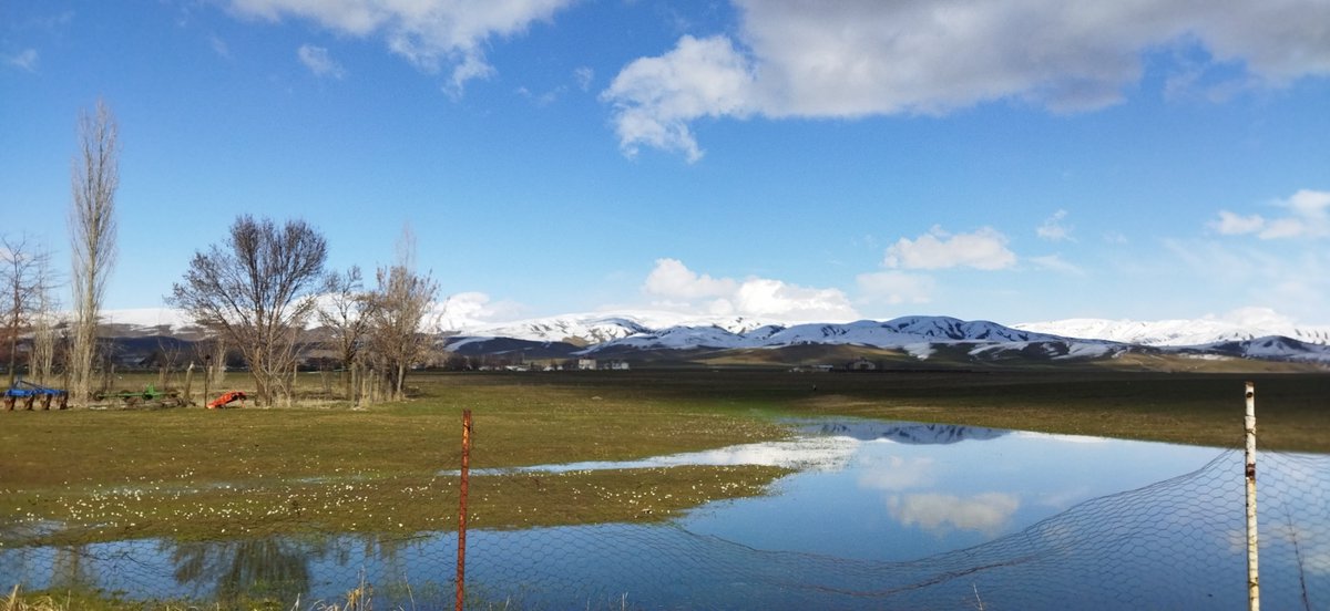 Mizgîn (@mzgnblk) on Twitter photo 