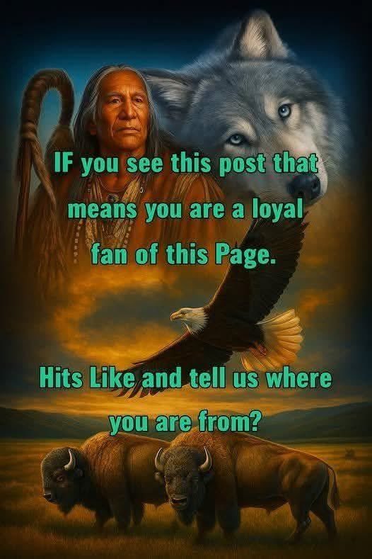 Native American tweet media