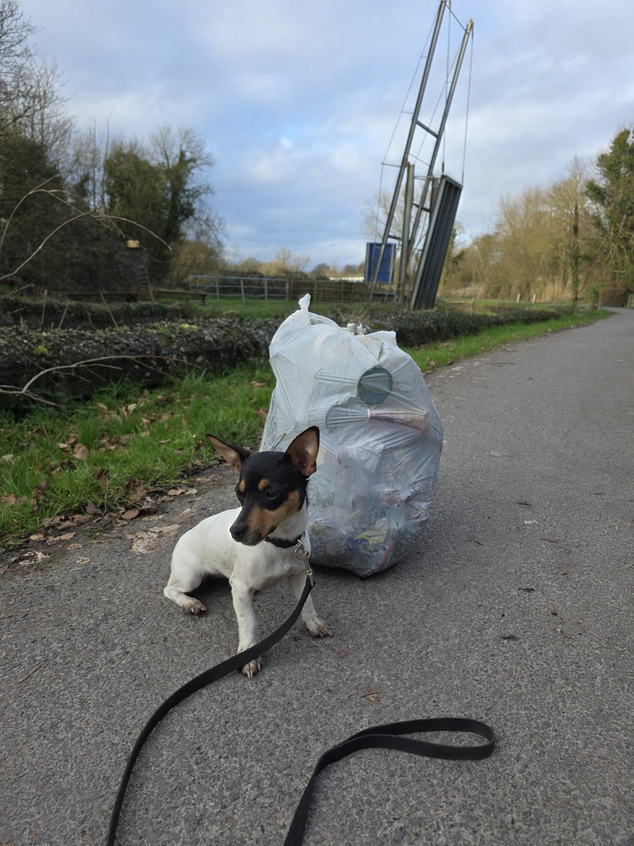 roriain's tweet photo. On the #BarrowTrack with Luna πΎ strolling along while picking up #litter, on a nice bright day. Ardreigh lock to the Horse bridge, Athy. A heavy& rewarding pick. #LeaveNoTrace #lovewhereyoulive #pawsonplastic https://t.co/9Mhp7HJ4Lb