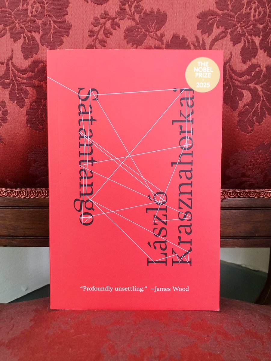 Lilly Merrill tweet media