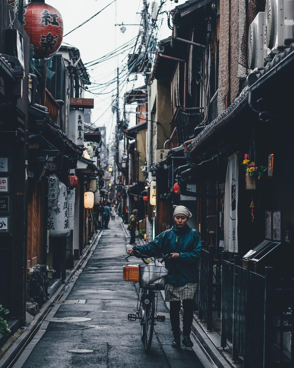 毎日進化しろよ,自分を信じ抜け,努力を止めないで🌻