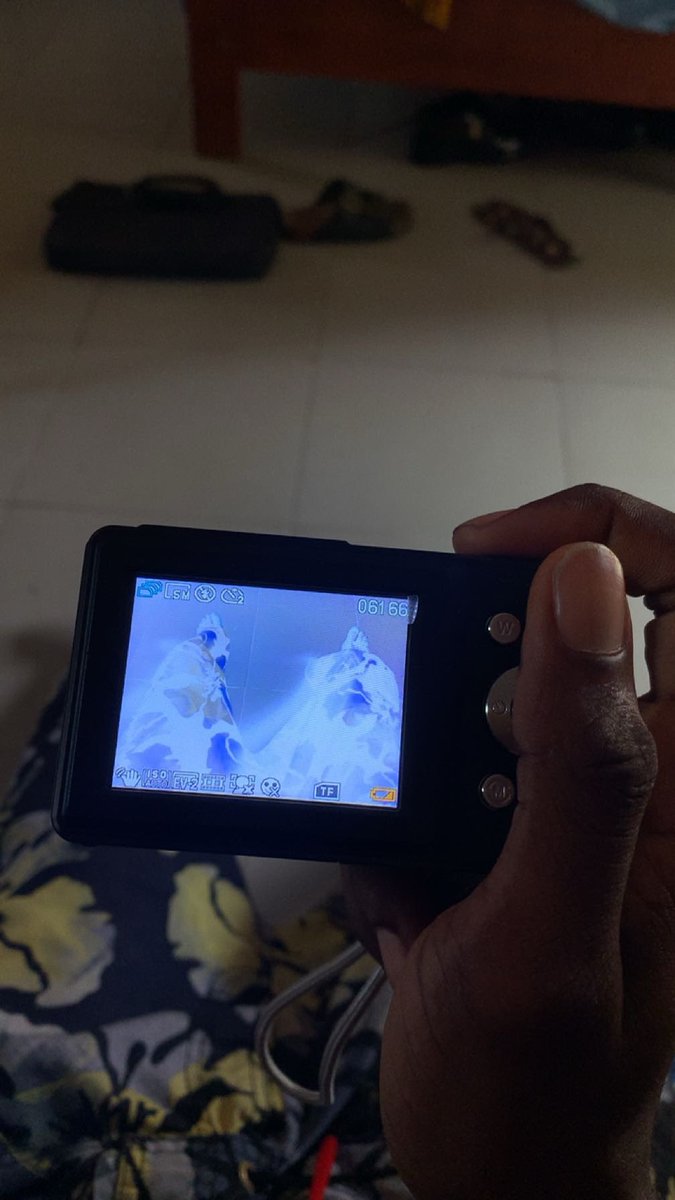 H.N.S★ tweet media