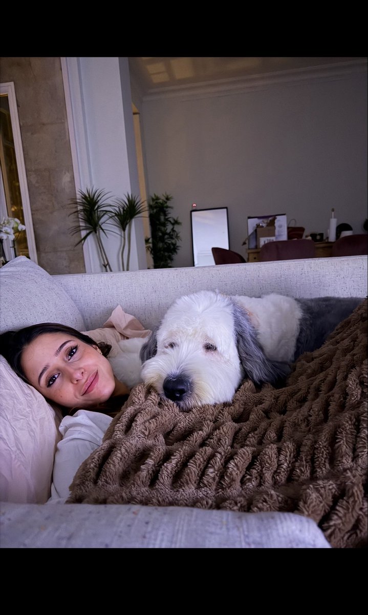 WithZack tweet media