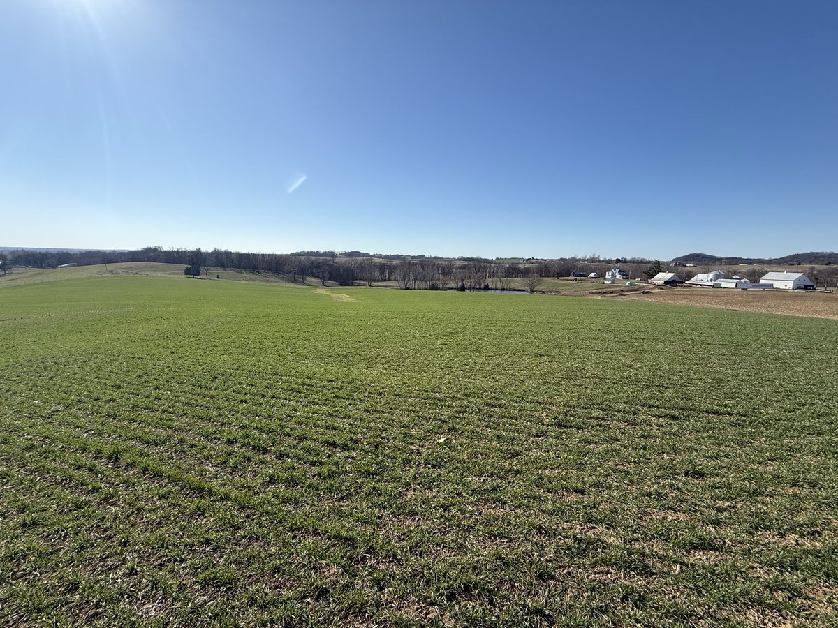 AgriMAXXWheat's tweet photo. AM 561 is a beauty at greenup and set to take off! First shot of N&amp;S going on today in Eastern MO #highperformancewheat https://t.co/w1SWQuFACP