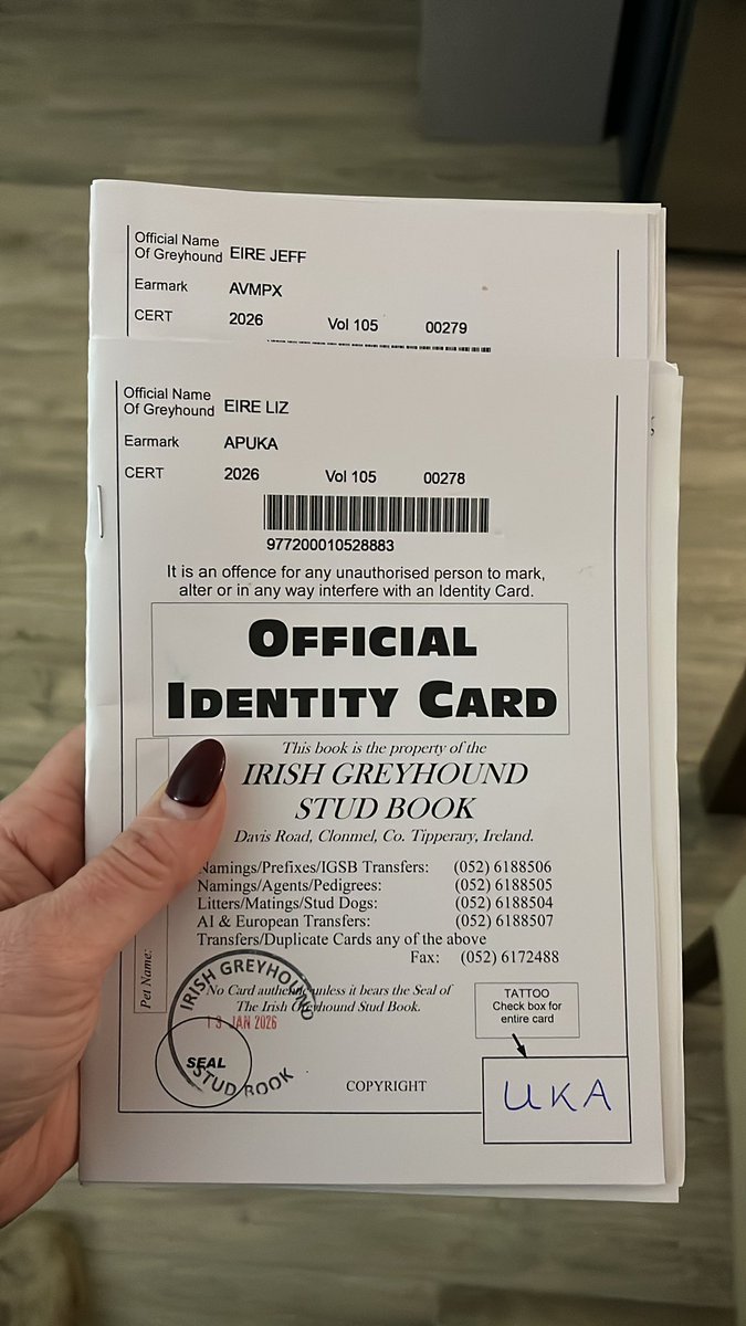 Pádraig’s 1st race dogs 🥰