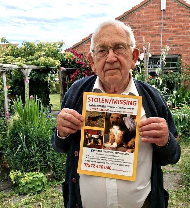 Maria #BringScruffyHome🇺🇦🇮🇱 tweet media