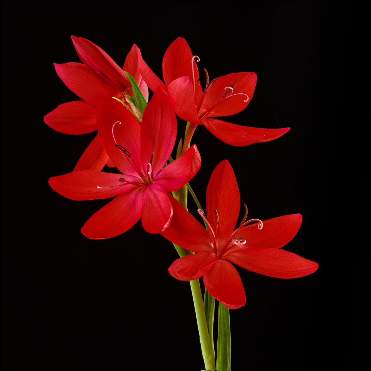 Photography Tricks and Tips tweet media