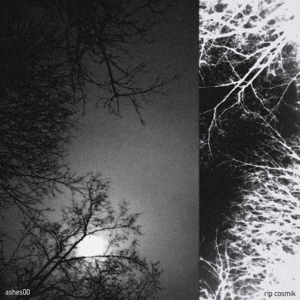 my new ep "rip cosmik" is out everywhere now 
4 tracks, ft <a href="/with3rx/">with3r</a> <a href="/xkog4mi/">kogami</a> <a href="/heartshpdbd/">michaela</a> adrienciel <a href="/nihil2free/">nihil空</a> svapna
links in replies