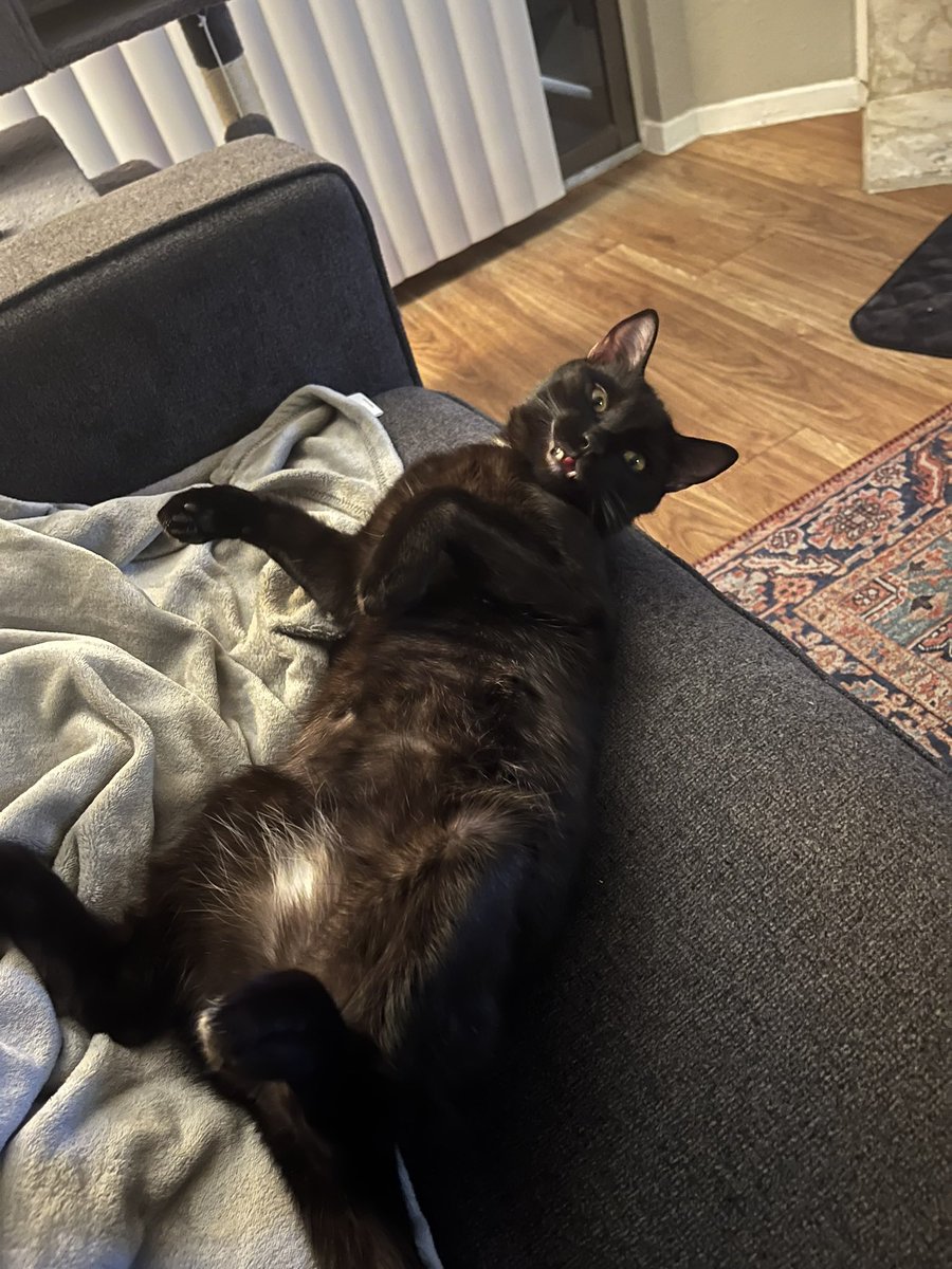 celestial niño✨ tweet media