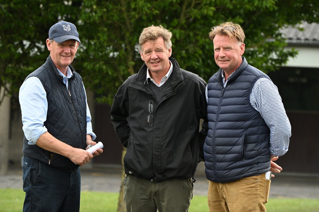 Tattersalls Ireland tweet media