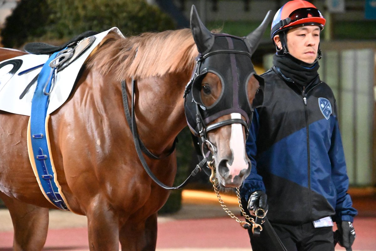 2026.2.6 12R #ベストツッキー #川崎競馬