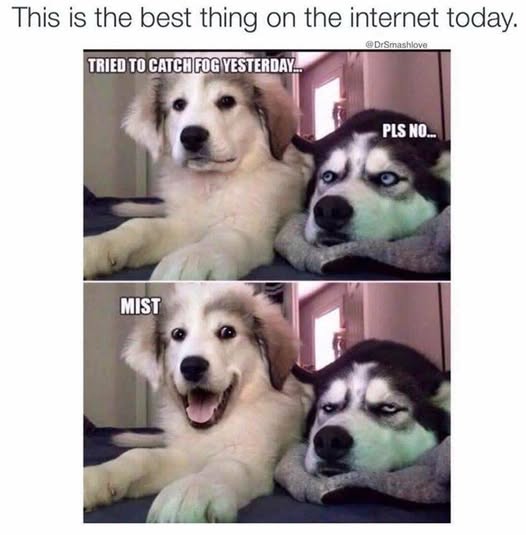 RobertsChessie's tweet image. Take some time for self-care coz it's S4S time again so LAUGH!!! IT'S GOOD FOR YOU! #CSRobertsAuthor #AwarenessPerpetrator #LaughItsGoodForYou #S4S