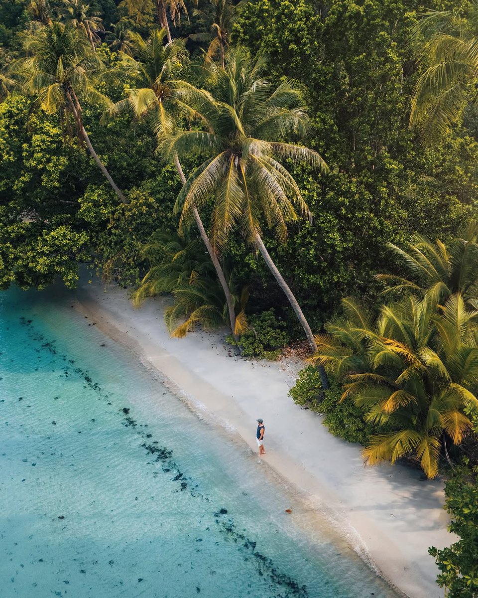 Go Thai Be Free tweet media