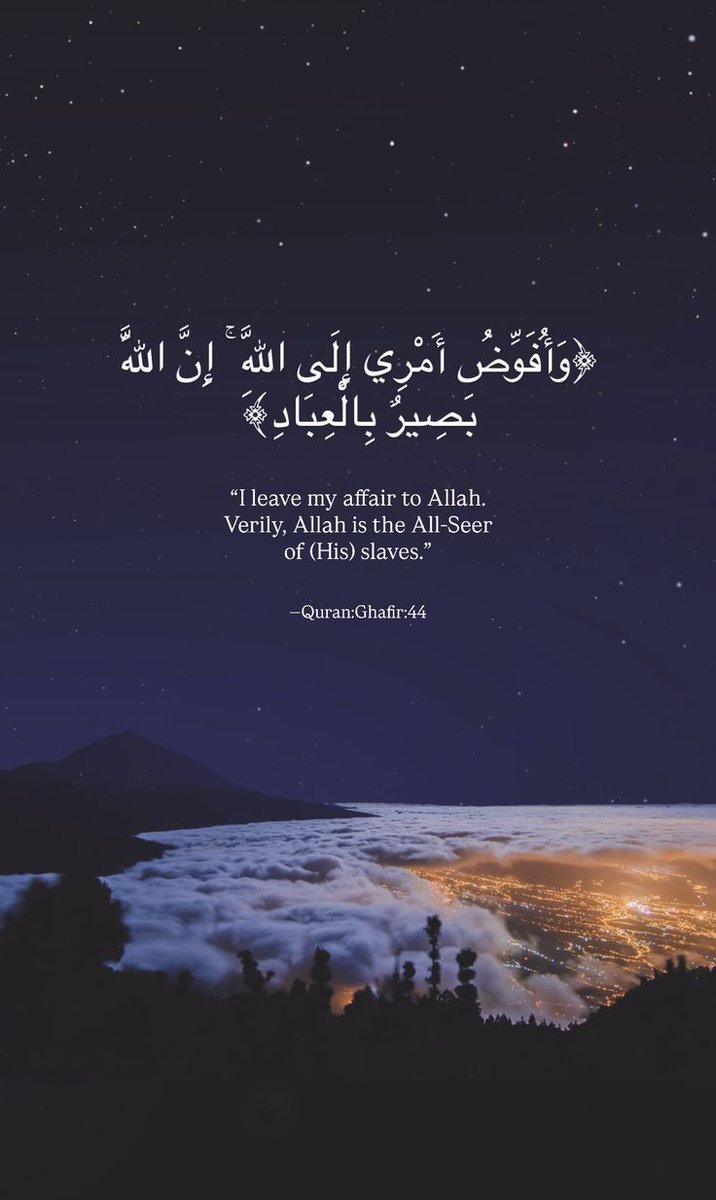 مُطمئِنةَ.! tweet media