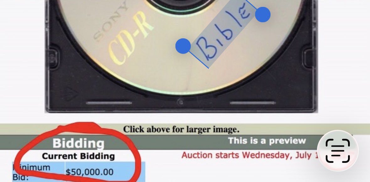 Louise Elkady tweet media